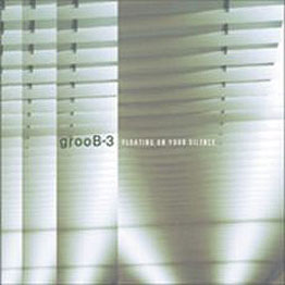 grooB-3/Floating on Your Silence 2005