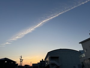 IMG_4961